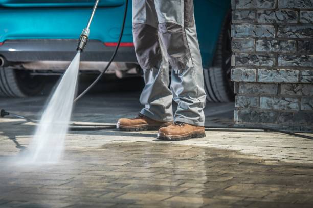 Best Gutter Cleaning  in Stoughton, WI