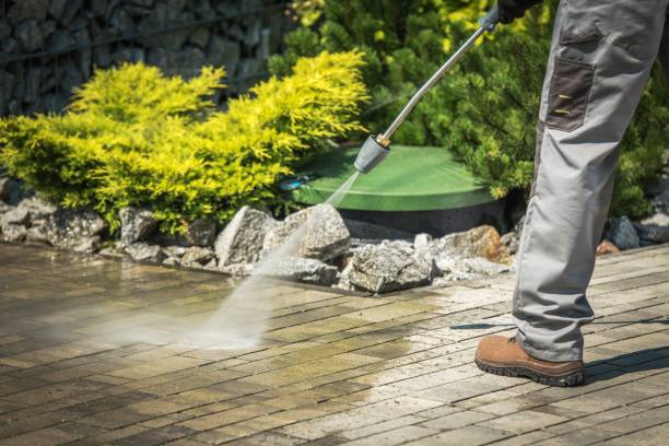 Best Solar Panel Cleaning  in Stoughton, WI
