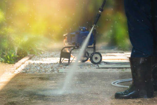 Best Sidewalk and Walkway Cleaning  in Stoughton, WI